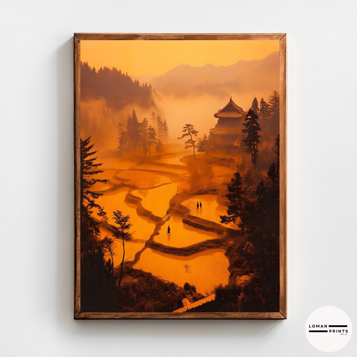 GH15_Golden rice terraces at sunrice